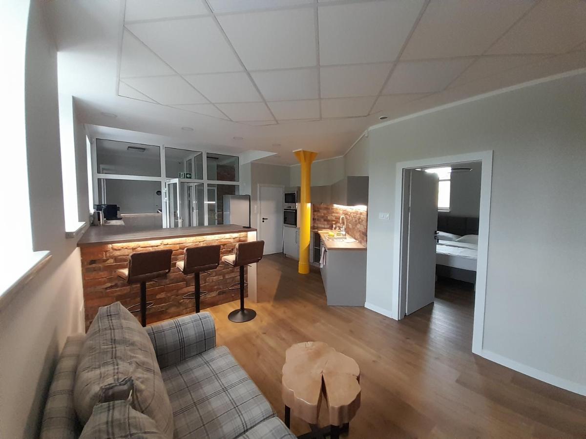 Orkana House Guest house Olsztyn (Warmian-Masurian)